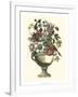 Floral Splendor II-Piranesi Giovanni-Framed Art Print