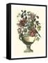 Floral Splendor II-Piranesi Giovanni-Framed Stretched Canvas