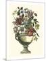 Floral Splendor II-Piranesi Giovanni-Mounted Art Print