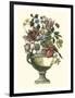 Floral Splendor II-Piranesi Giovanni-Framed Art Print