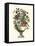 Floral Splendor II-Piranesi Giovanni-Framed Stretched Canvas