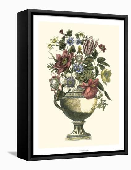 Floral Splendor II-Piranesi Giovanni-Framed Stretched Canvas