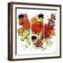 Floral Splendour-Jean Picton-Framed Giclee Print