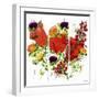 Floral Splendour-Jean Picton-Framed Giclee Print