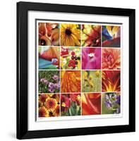 Floral Square Ensemble-Joy Doherty-Framed Giclee Print