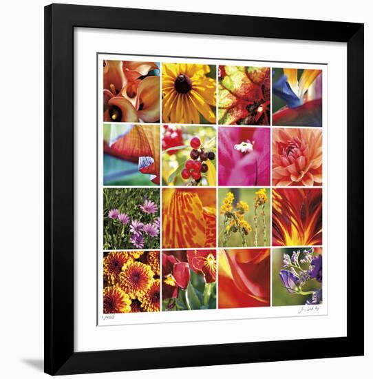 Floral Square Ensemble-Joy Doherty-Framed Giclee Print