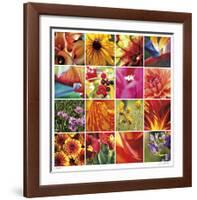 Floral Square Ensemble-Joy Doherty-Framed Giclee Print