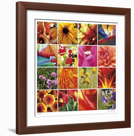 Floral Square Ensemble-Joy Doherty-Framed Giclee Print