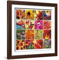 Floral Square Ensemble-Joy Doherty-Framed Giclee Print