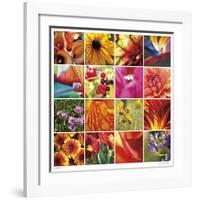 Floral Square Ensemble-Joy Doherty-Framed Giclee Print