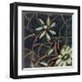 Floral Square I-Gail Altschuler-Framed Giclee Print