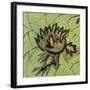 Floral Square II-Gail Altschuler-Framed Giclee Print