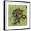 Floral Square II-Gail Altschuler-Framed Giclee Print