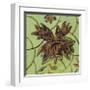 Floral Square III-Gail Altschuler-Framed Giclee Print