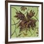 Floral Square III-Gail Altschuler-Framed Giclee Print