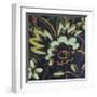 Floral Square IV-Gail Altschuler-Framed Giclee Print