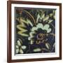 Floral Square IV-Gail Altschuler-Framed Giclee Print