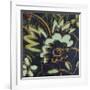 Floral Square IV-Gail Altschuler-Framed Giclee Print