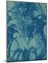 Floral Study, C.1900-Louis Comfort Tiffany-Mounted Giclee Print