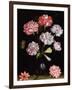 Floral Study: Carnations in a Vase-Balthasar van der Ast-Framed Giclee Print