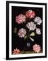 Floral Study: Carnations in a Vase-Balthasar van der Ast-Framed Giclee Print