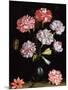 Floral Study: Carnations in a Vase-Balthasar van der Ast-Mounted Giclee Print
