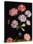 Floral Study: Carnations in a Vase-Balthasar van der Ast-Stretched Canvas