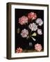 Floral Study: Carnations in a Vase-Balthasar van der Ast-Framed Giclee Print