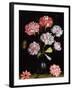 Floral Study: Carnations in a Vase-Balthasar van der Ast-Framed Giclee Print