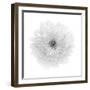 Floral Study - Hope-Alan Copson-Framed Giclee Print