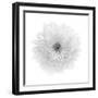 Floral Study - Hope-Alan Copson-Framed Giclee Print