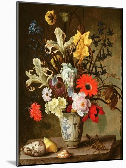 Floral Study with Beaker, Grasshopper and Seashells-Balthasar van der Ast-Mounted Giclee Print