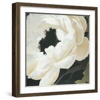 Floral Study-Kc Haxton-Framed Art Print