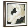 Floral Study-Kc Haxton-Framed Art Print