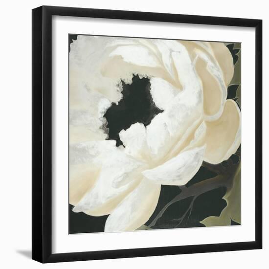 Floral Study-Kc Haxton-Framed Art Print