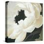 Floral Study-Kc Haxton-Stretched Canvas