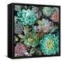 Floral Succulents v2 Crop-Danhui Nai-Framed Stretched Canvas