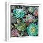 Floral Succulents v2 Crop-Danhui Nai-Framed Art Print