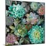 Floral Succulents v2 Crop-Danhui Nai-Mounted Art Print