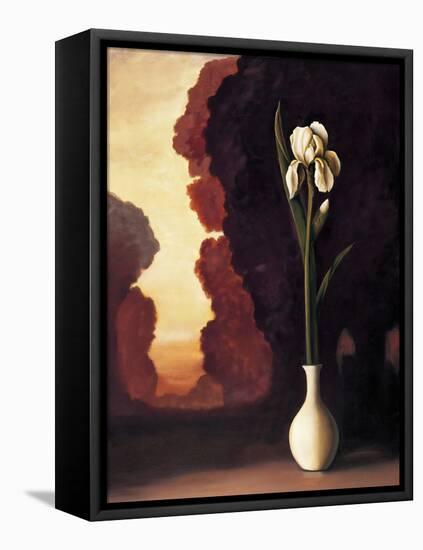 Floral Sunrise II-Virginia Huntington-Framed Stretched Canvas