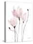Floral Sway II-Lanie Loreth-Stretched Canvas