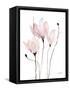 Floral Sway II-Lanie Loreth-Framed Stretched Canvas