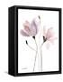 Floral Sway III-Lanie Loreth-Framed Stretched Canvas