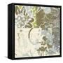 Floral Swhirls IV-Ricki Mountain-Framed Stretched Canvas