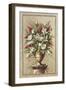 Floral Symphony I-Welby-Framed Art Print