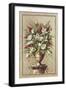 Floral Symphony I-Welby-Framed Art Print