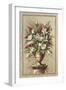 Floral Symphony I-Welby-Framed Art Print