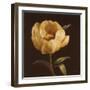 Floral Symposium I-Julianne Marcoux-Framed Art Print