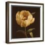 Floral Symposium I-Julianne Marcoux-Framed Art Print