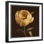 Floral Symposium I-Julianne Marcoux-Framed Art Print